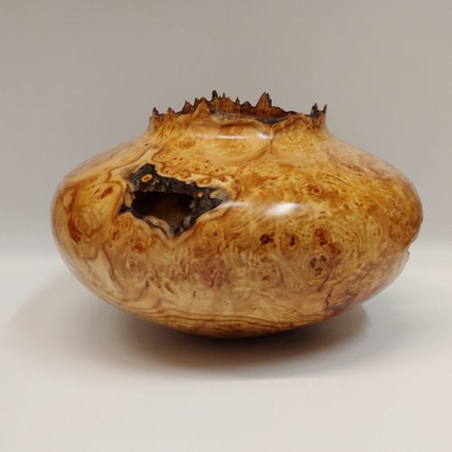 JW-202 Aspen Burl Hollowed Vessel 7.25x10 $600 at Hunter Wolff Gallery